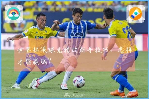 世界杯滚球竞猜的新手技巧，怎样才能赢钱？