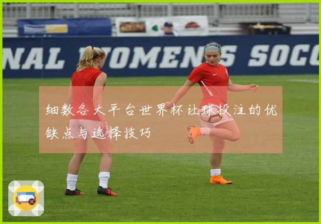 细数各大平台世界杯让球投注的优缺点与选择技巧