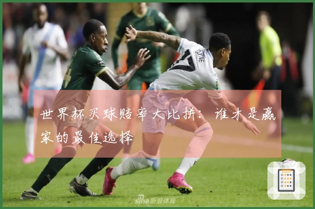 世界杯买球赔率大比拼：谁才是赢家的最佳选择