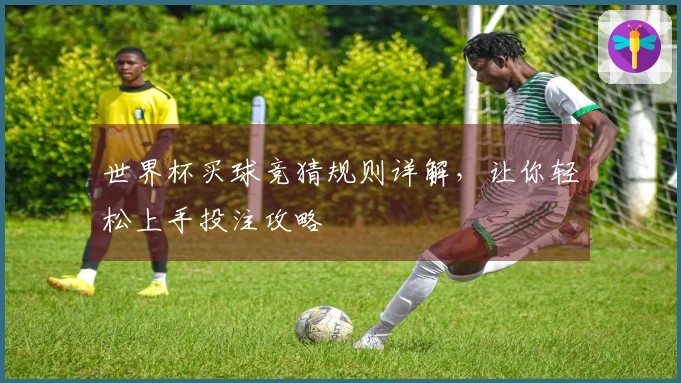 世界杯买球竞猜规则详解，让你轻松上手投注攻略