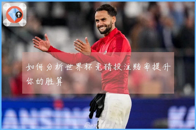 如何分析世界杯竞猜投注赔率提升你的胜算