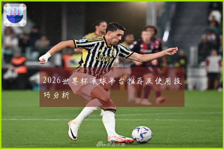 2026世界杯滚球平台推荐及使用技巧分析